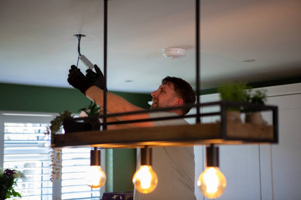 Best Electric Panel Repair  in Effingham, IL